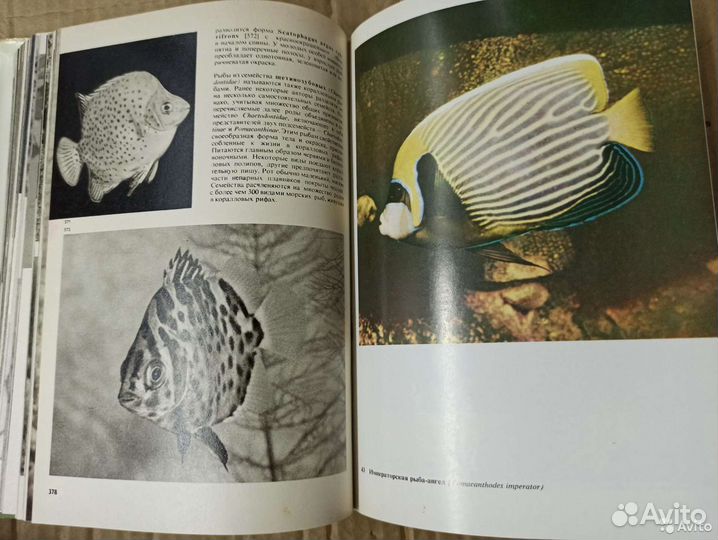 Иллюстрированные энциклопедии животных, рыб и птиц