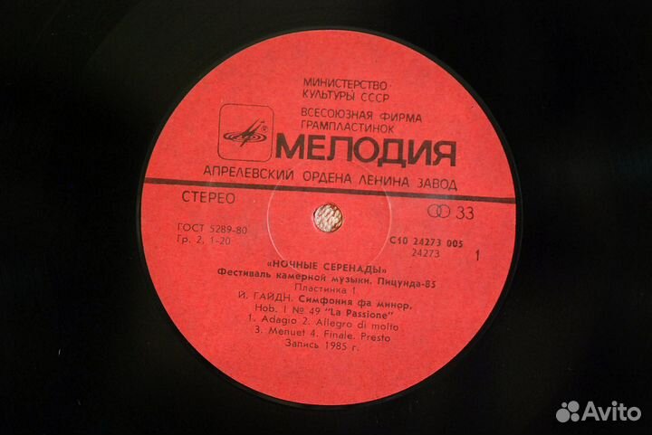 Гайдн - Симфония 49 / Концерт виолончели - Рудин