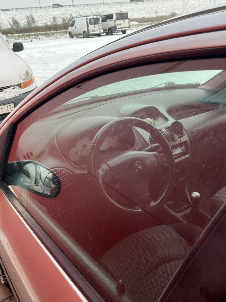 Peugeot 206: фото владельца