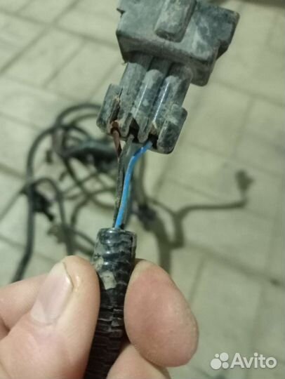 Жгут проводов