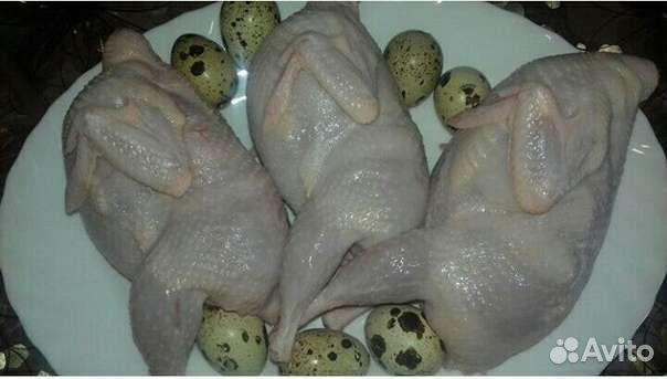 Мясо перепелиное(тушки перепелов)