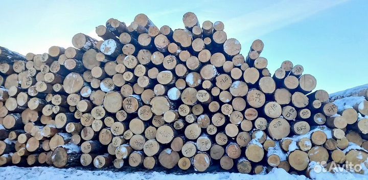 Круглый лес хвоя, береза