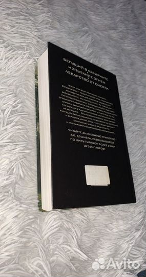 Бегущий в лабиринте