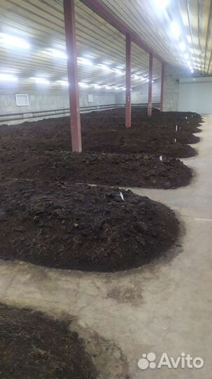 Биогумус, удобрение, вермикомпост