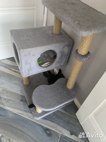 Когтеточка с домиком бу