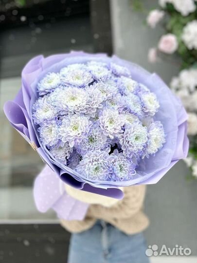 Кустовая хризантема букеты 5/15/25