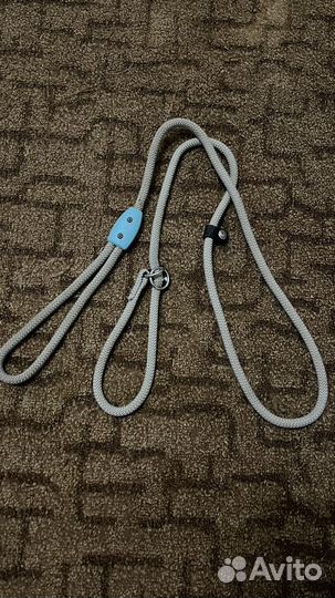 Собачья ринговка для дрессуры или выставок