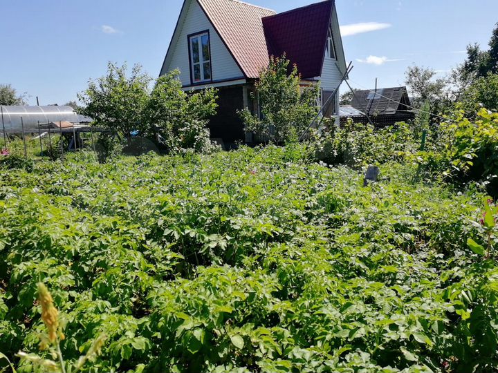 Дача 50 м² на участке 18 сот.