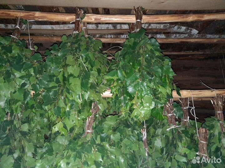 Березовые и дубовые веники