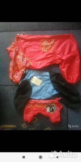 Одежда и амуниция для собак