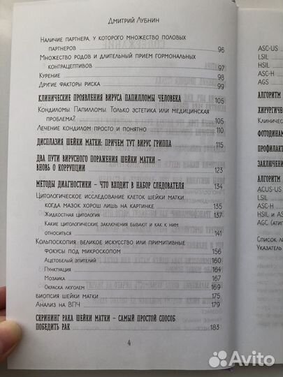 Дмитрий Лубнин - В зоне риска