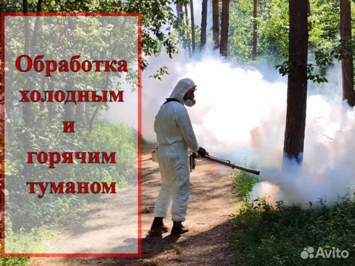 Уничтожение клопов травить тараканов обработка