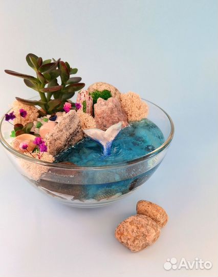 Флорариум, подарки, сувениры, растения