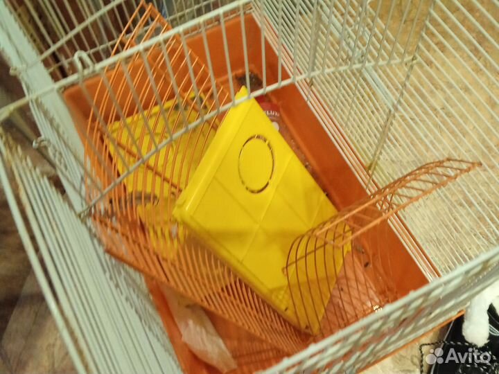 Клетка для птиц или грызунов