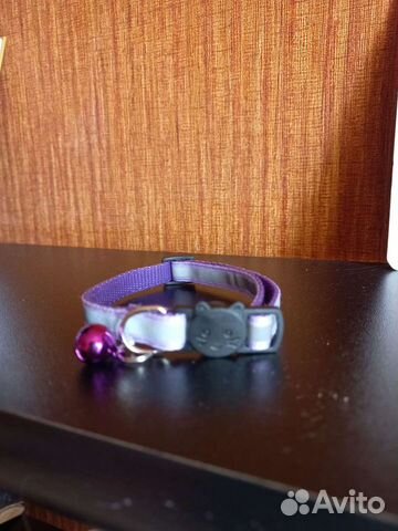 Ошейник для маленькой собаки