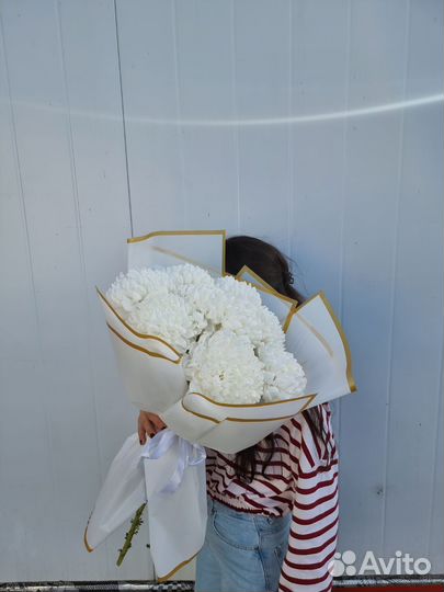 Цветы с доставкой. хризантема с доставкой