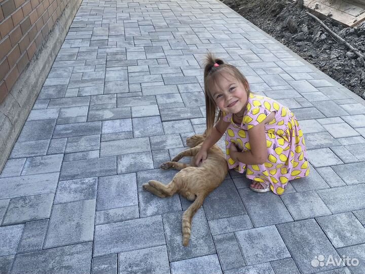 Тротуарная плитка