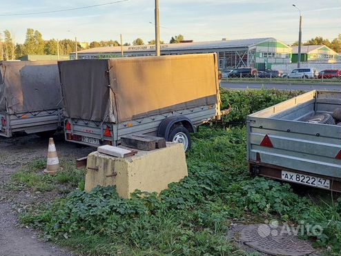 Аренда, прокат прицепов 24часа