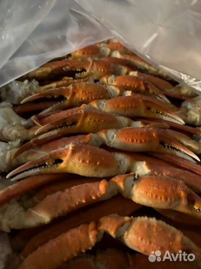 Клешни краба стригуна