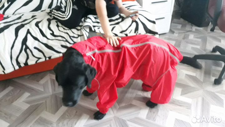 Плащь для собак
