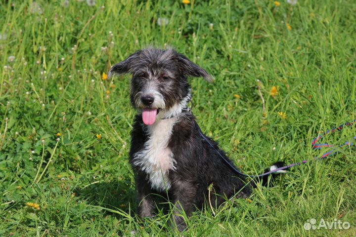 Малышка Маня