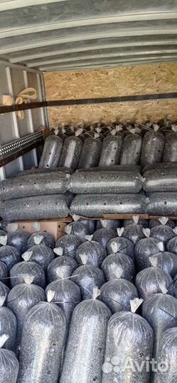 Вешенки грибные блоки