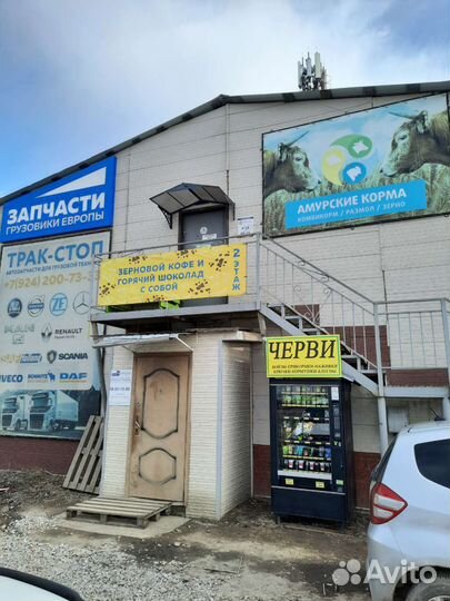 Черви для рыбалки круглосуточно