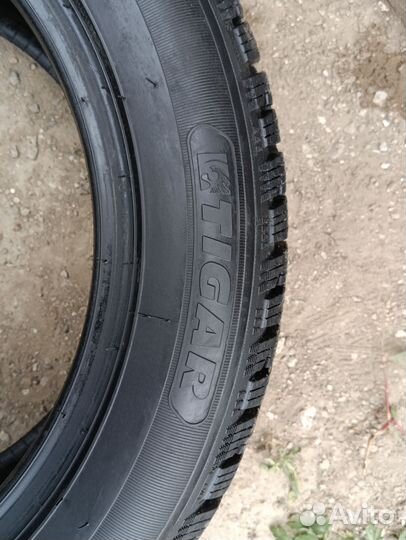 Tigar Ice 205/55 R16