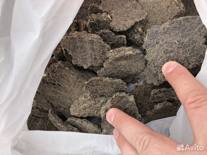 Семечка подсолнечника,жмых