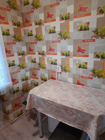 1-к. квартира, 31,1 м², 1/4 эт.