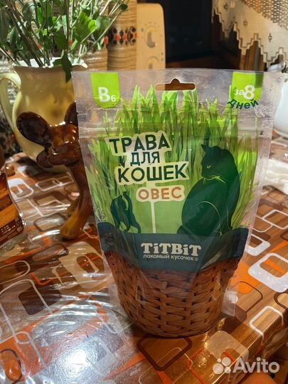 Лакомый кусочек для кошек. Травка