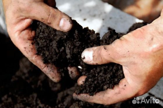 Трехкомпонентный грунт