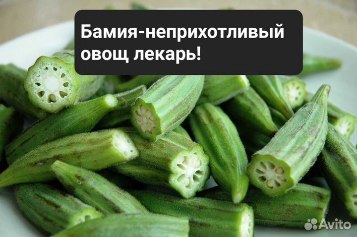 Овощи гиганты Весенняя посадка