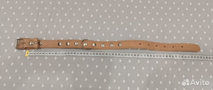 Ошейники для собак