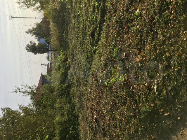 Участок 6 сот. (ИЖС)