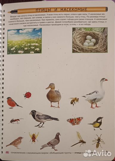 2 развивающие тетради Юлии Фишер многоразовые