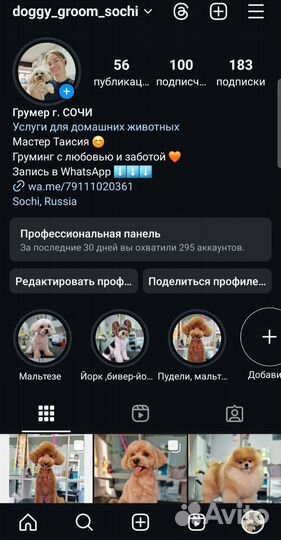 Груминг. Стрижка собак, кошек