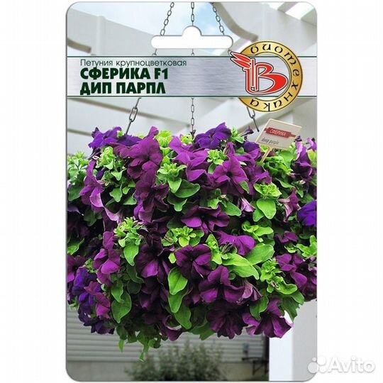 Петуния Сферика F1 Дип Парпл крупноцветковая