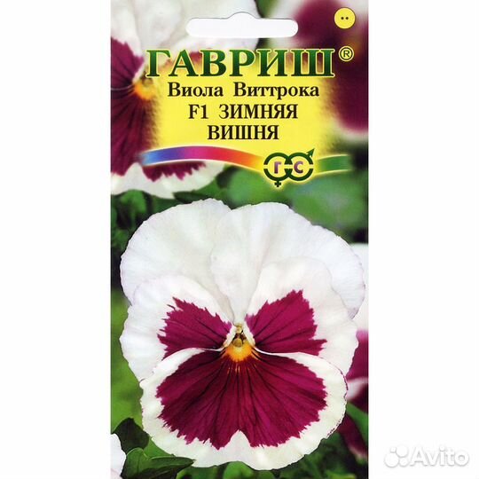 Виола Зимняя вишня F1 Виттрока