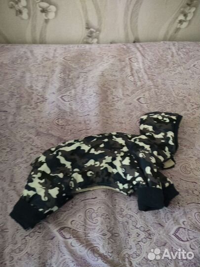 Одежда для средних собак