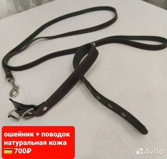 Ошейник + поводокнатуральная кожа