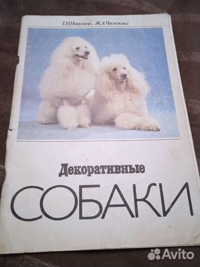 Журнал