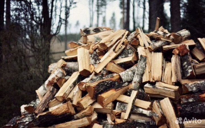 Дрова березовые