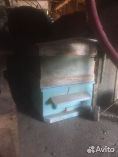 Улей и пчелы