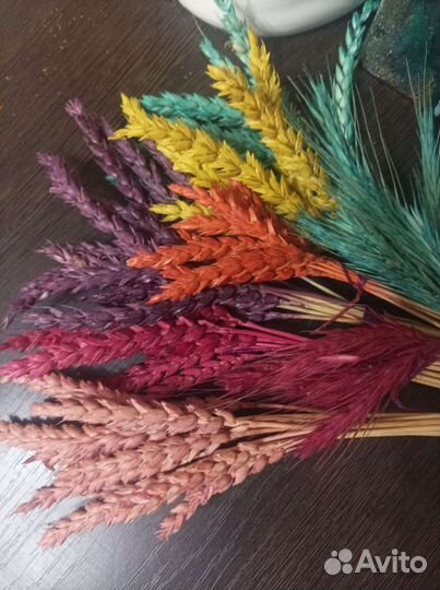 Сухоцветы пучки и штучно