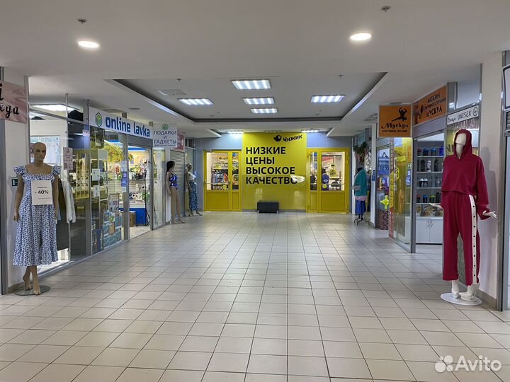 Магазин гаджетов и товаров для туризма