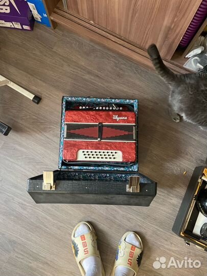 Гармонь ивушка