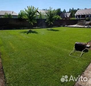 Продажа Рулонного газона