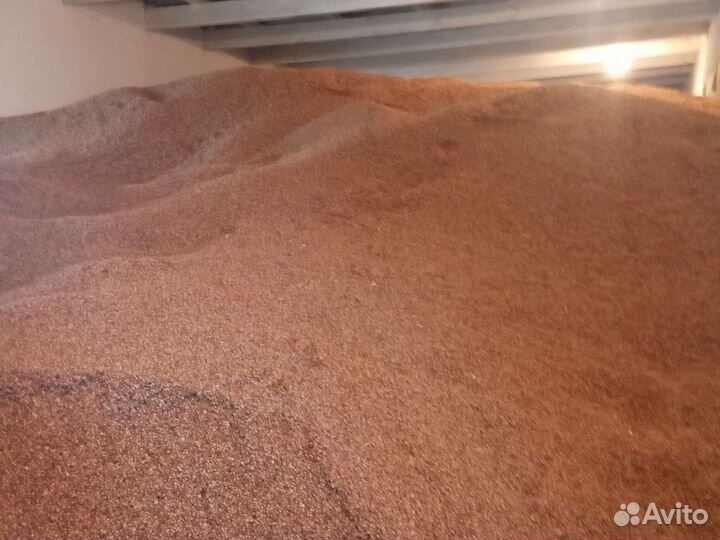 Продам кориандр