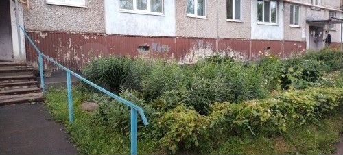 1-к. квартира, 31 м², 1/5 эт.